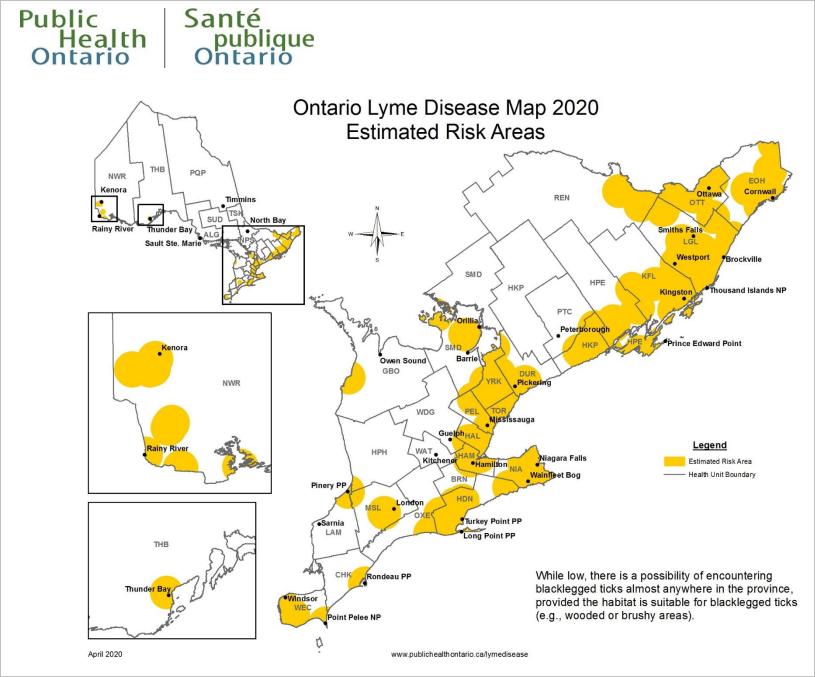 A digram showing the incidence of Lyme disease in Ontario. It shows highlighted areas along the Lake Ontario and Lake Erie coastal regions extending 100km, please around Lake Simcoe.